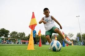 corporate-home-layout